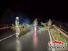 20240808baum 6